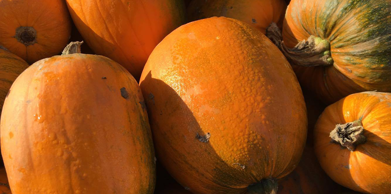Animation d'Halloween Citrouilles d'Halloween
