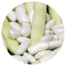 Haricots secs et demi-secs