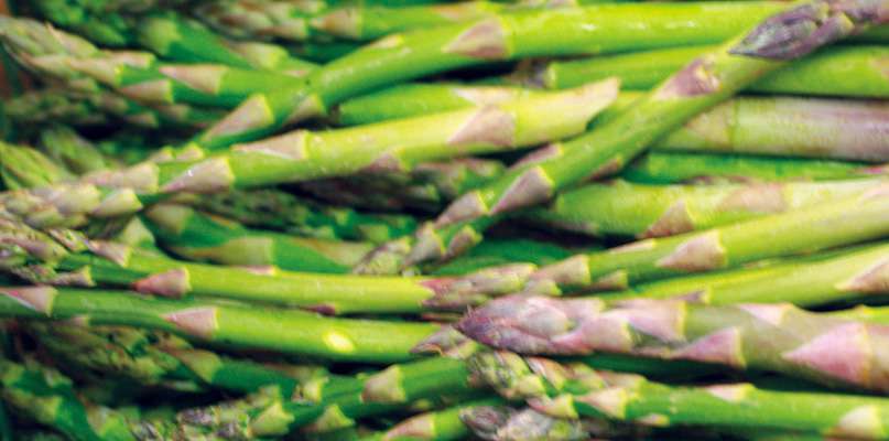 Asperges Asperges